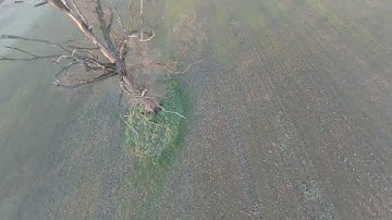 First flight with Runcam 5 Orange (+Gyroflow)