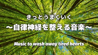 Music to prepare the autonomic nervous system -Rinse and purify the tired heart of everyday hearts- screenshot 5