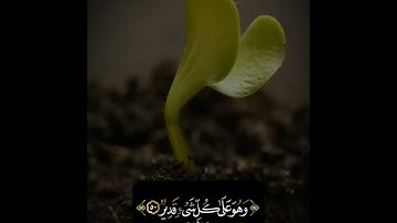 المنشاوي رحمه الله من سورة الروم ﴿فَٱنظُرۡ إِلَىٰۤ ءَاثَـٰرِ رَحۡمَتِ ٱللَّهِ ﴾