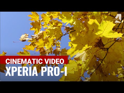 Sony Xperia Pro-I Cinematic Video 4K 120fps