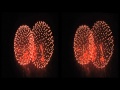 [3D Video / 3D映像]  Ebisukou Fireworks Festival 2010 in stereo 3D / 長野えびす講花火大会より