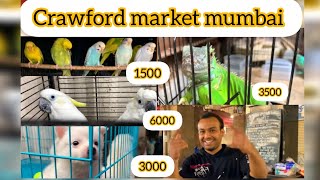 इतने सस्ते मे 🐕🐰 | Crawford Pet Market Mumbai | Bird cat & More | Crawford market in animals persian