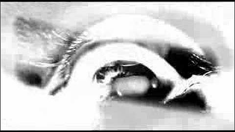 Reply: Dead Daughters