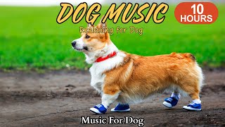 Music that dogs like10 hours of sleepinducing music for dogsMusic that relieves separation