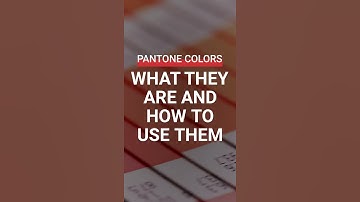 Pantone Colors: What They Are and How to Use Them