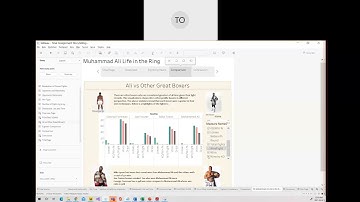 Data Visualization Final Assignment