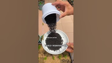 Special fertilizer for vegetables. It is a slow-release organic fertilizer that can be directly...