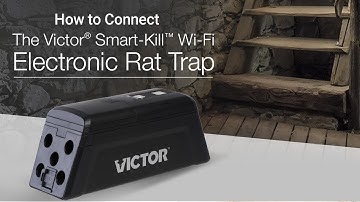 How to Connect the Smart-Kill Wi-Fi Electronic Rat Trap