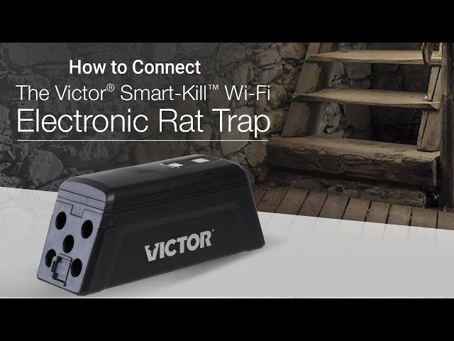 Tuya Wireless Mouse Killer Mousetrap Rat Pest Trap Catcher Rodent Killer  WiFi Sensor APP Control For Mobile Phone Smartlife App