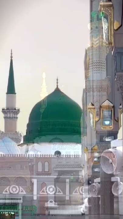 Ya Rasoolallah 🤲♥️ #madina #rozarasool #naat #shorts #viral