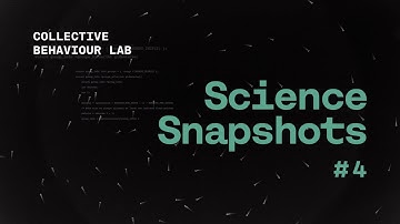 Science Snapshot: Understanding Collective Behaviour / Compreender o Comportamento Colectivo