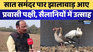 Rajasthan News: सात समंदर पार कर Jhalawar आए प्रवासी पक्षी, सैलानियों में उत्साह | Migratory Birds screenshot 3