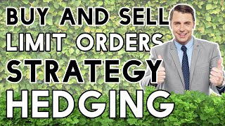 Master Forex - Hedging Strategy Using Buy & Sell Limit Orders