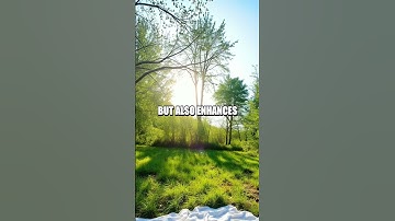 The Magic of Interstitial Journaling