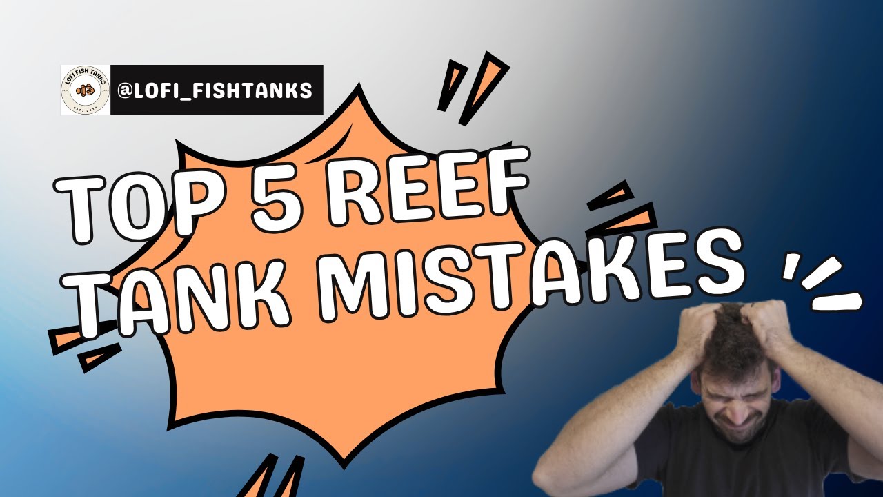 5 Reef Tank Mistakes That Could Cost You BIG Beginner’s Guide - YouTube - Aerating Water Mistakes In Reef Tanks