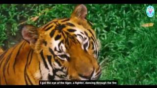 Roar Cover - Madeline L.a-10Yo & Celline L.a-7Yo