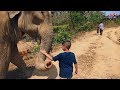Boy Is Growing Up Rescuing Elephants | The Dodo
