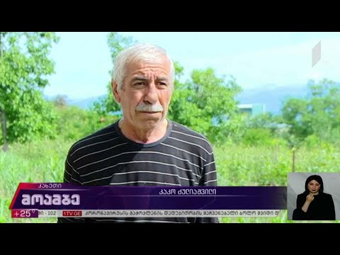 სტიქია კახეთში