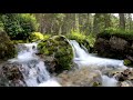 Ручьи и реки.  Музыка Сергея Чекалина. Streams and rivers. Music by Sergei Chekalin.