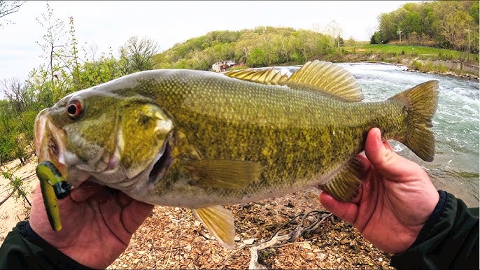 Kayak Fishing for Ozarks Bronzebacks - Hooked On Wild Waters S4, EPISODE 6  