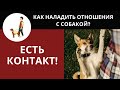 КАК НАЛАДИТЬ ОТНОШЕНИЯ С СОБАКОЙ? КОНТАКТ - ОСНОВА ВСЕГО!