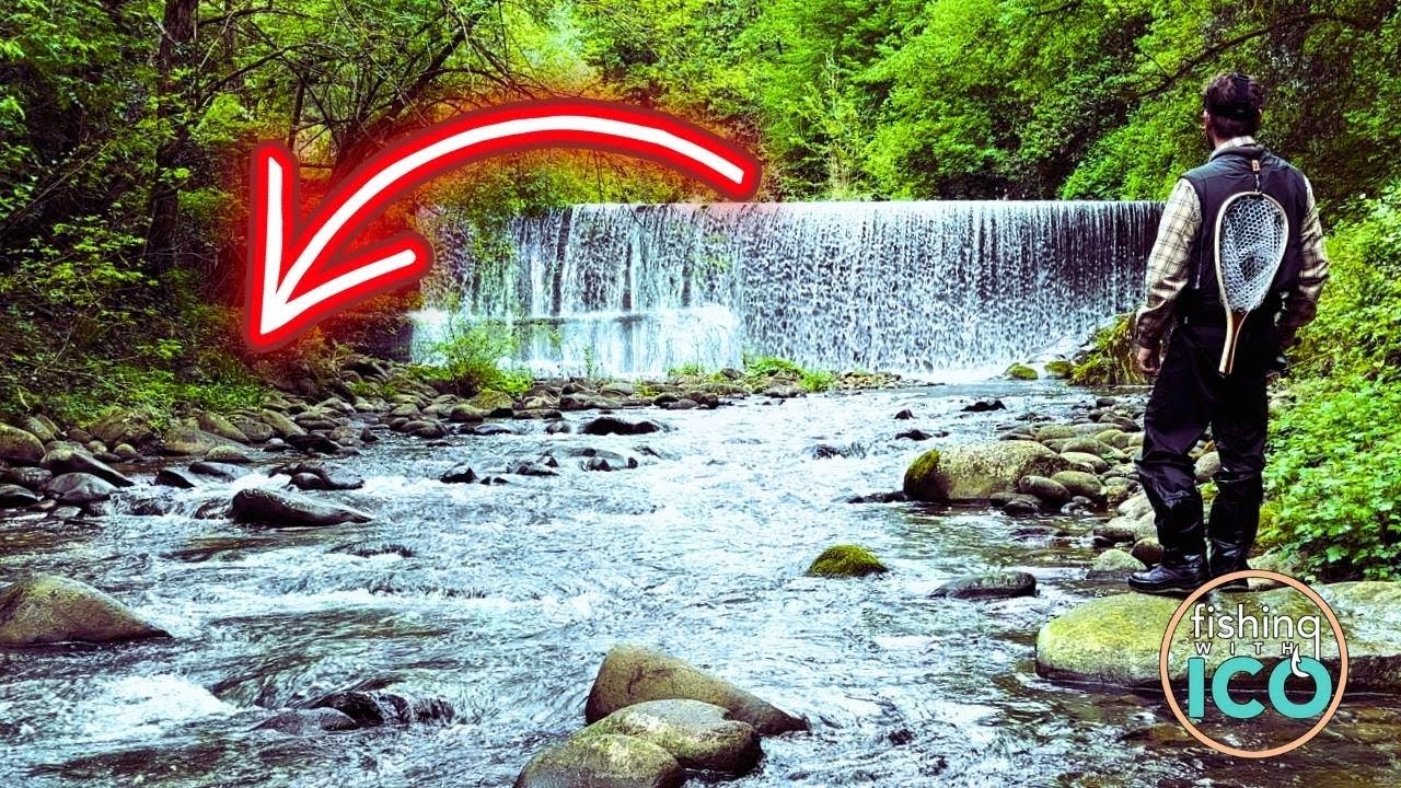 Ho INCONTRATO un PADELLARO!🤬BAITFINESSE alla TROTA FARIO in un NUOVO SPOT! (4K)