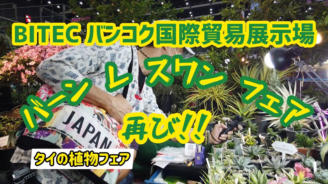 【タイの植物フェア】BITEC (バンコク国際貿易展示場)バーンレスワン(住宅＆庭園)フェア、再び！！！
