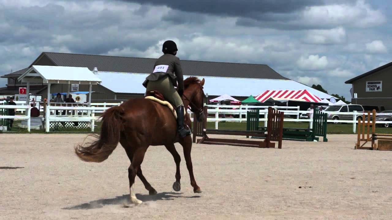 Ancaster Saddle Club Show - Second Round - First Place - YouTube