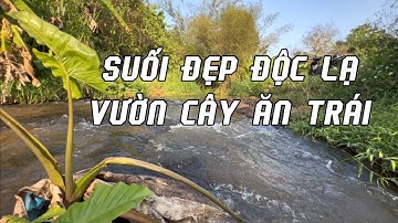 Chị cúc bán đất vườn 1 mẫu 2 view suối đẹp độc lạ sát hồ kim long châu đức bà rịa vũng tàu