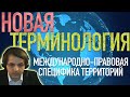 Новая терминология МПСТ // Лекция Жмилевского