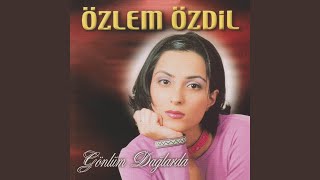 Yol Gerek Bana