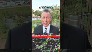 Thursday 8/20 WBTV #FirstAlert #instacast — Humidity and storm chances increasing! #NCwx #SCwx