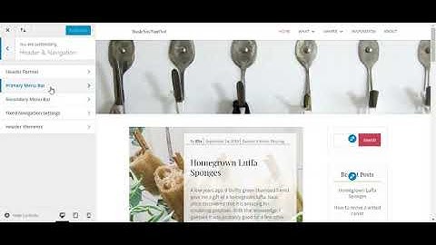 How to Hide the Logo from the Divi Navigation Header