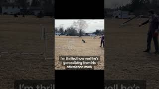 Focus Forward Agility Marking!