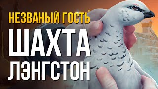 ШАХТА ЛЭНГСТОН ► THE LONG DARK (НЕЗВАНЫЙ ГОСТЬ) # 3