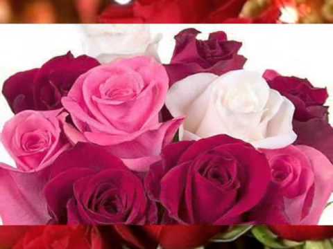 محمد نور الليله دى ميــــدو 