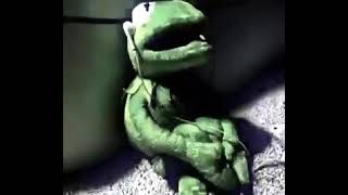 Sad Kermit