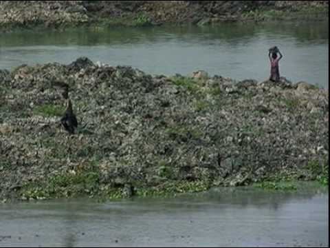 portfolios-of-the-poor