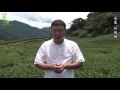 【台灣茶路】大茶農時代~2016許瑞麟奇萊夏茶預購
