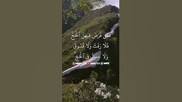 ماهر المعيقلي - سورة البقرة ( برواية حفص عن عاصم ) الأية 197