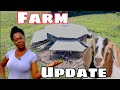 Cabra Ranch Goat Farm Update Spring 2021 II goat farming