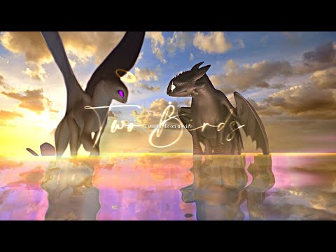 Sombra x Ash // Two Birds - MEP part 1