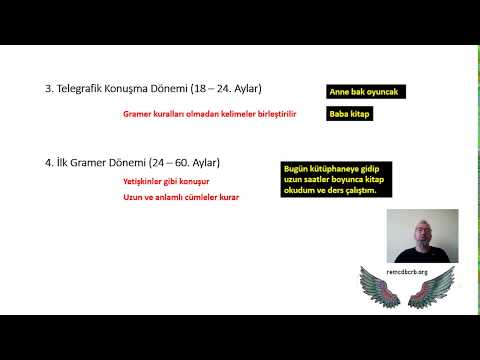 GP050 - Dil Gelişimi (Piaget & Chomsky)