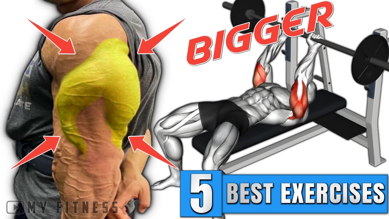 Bigger Triceps Workout at Gym - Best Triceps Exercises - YouTube