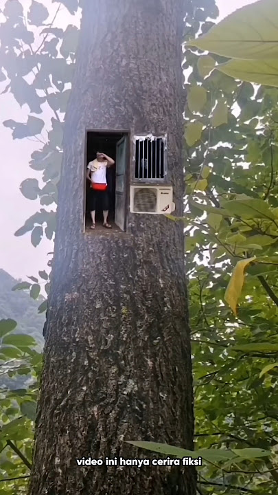Membangun rumah di atas pohon‼️ #shortsvideo