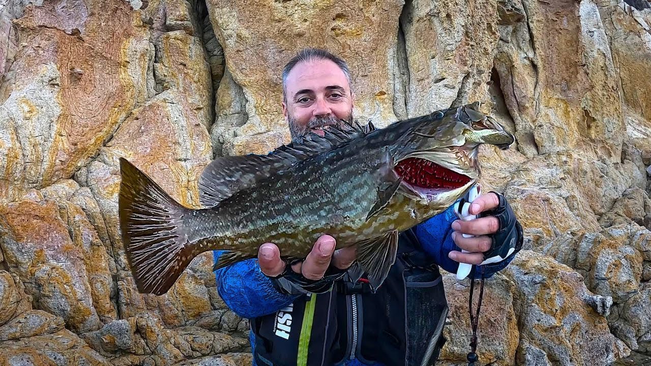 ΣΠΑΝΙΟ ΨΑΡΙ πιάστηκε από την ακτή!