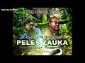 K Dumen   PELES ZAUKA feat  Sonah PNG Music 2021360p