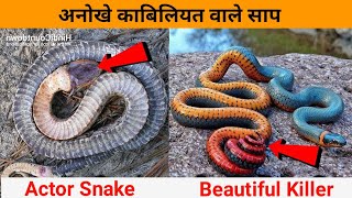 अनोखे सांप जिनकी अनोखी काबलियत देखकर वैज्ञानिक भी हैरान है | Most Unique Snakes In The World