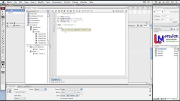 Introduction to Variables in AS3