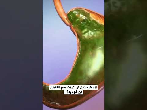 إيه هيحصل لو شربت سم الثعبان من كوبايه